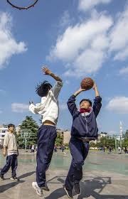 棒球与未来能源太阳能电池板在现代球场屋顶的应用