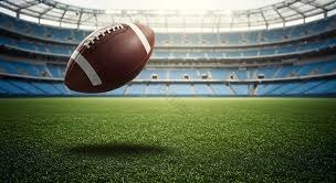 印度泰米尔纳德邦禁止在线博彩